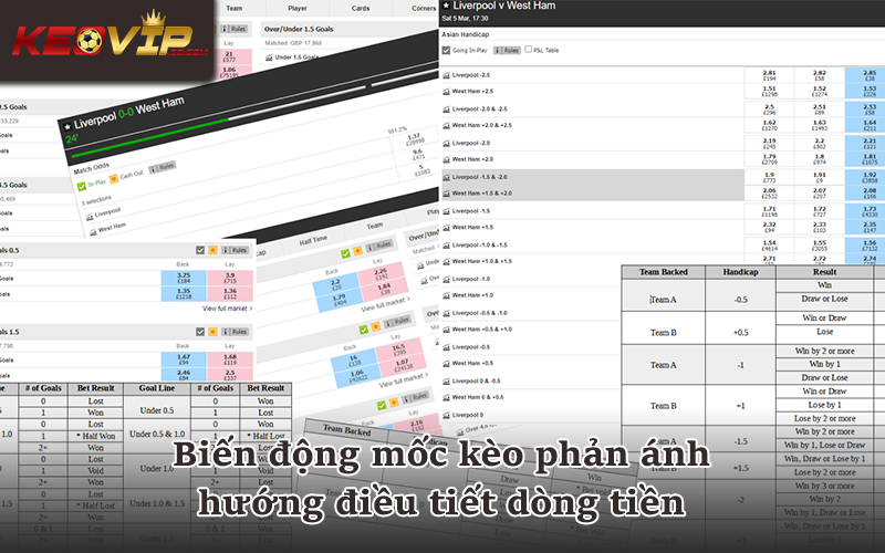 Biến động kèo nhà cái qua mốc handicap và tài xỉu