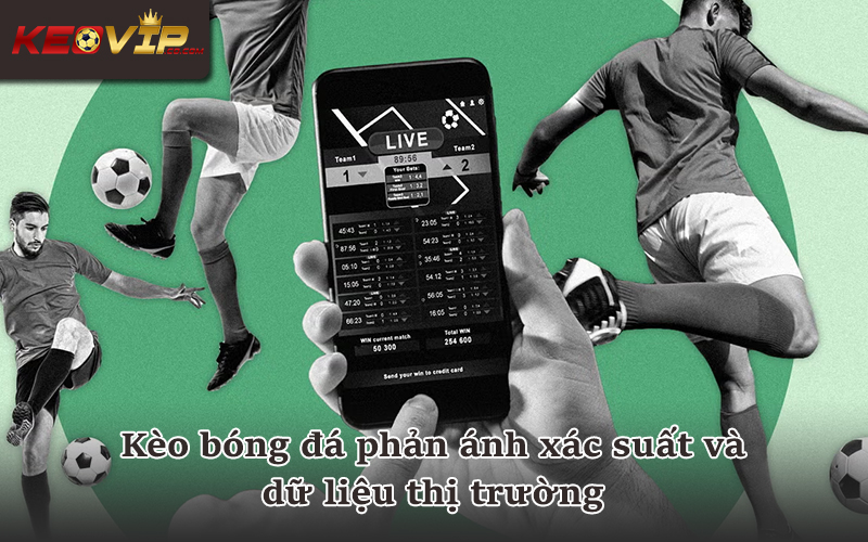 Xem kèo bóng đá dưới góc độ thông tin và xác suất