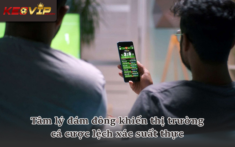 Rủi ro hình thành khi dòng tiền tập trung và thông tin bất cân xứng